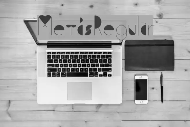 MetisRegular Font examples