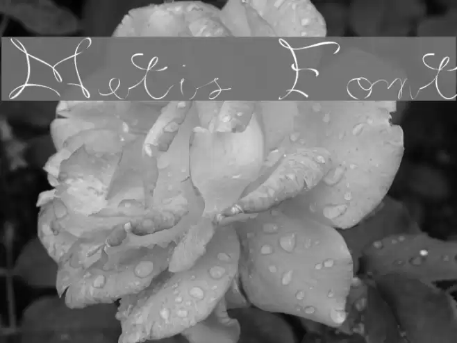 Metis Font examples