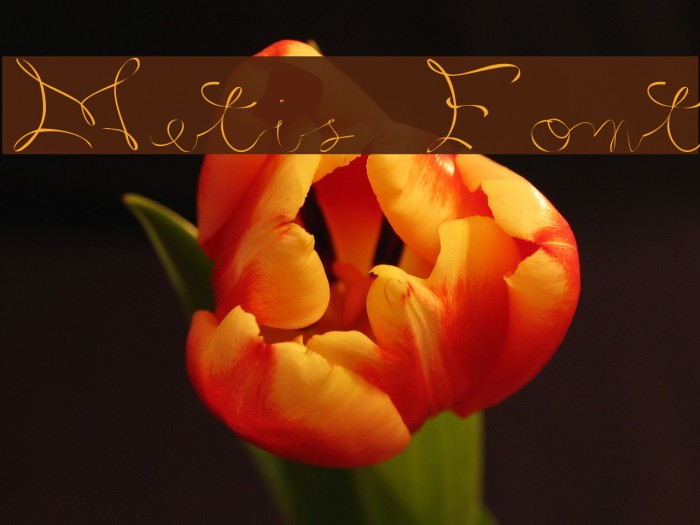 Metis Font examples
