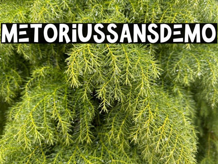 MetoriusSansDemo Example 1