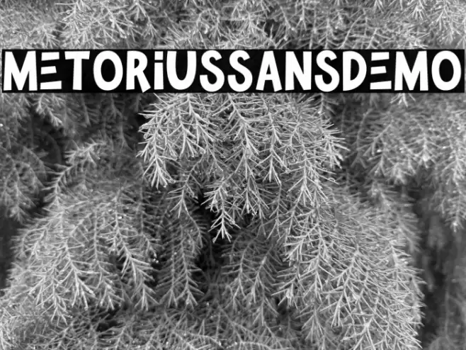 MetoriusSansDemo Font examples