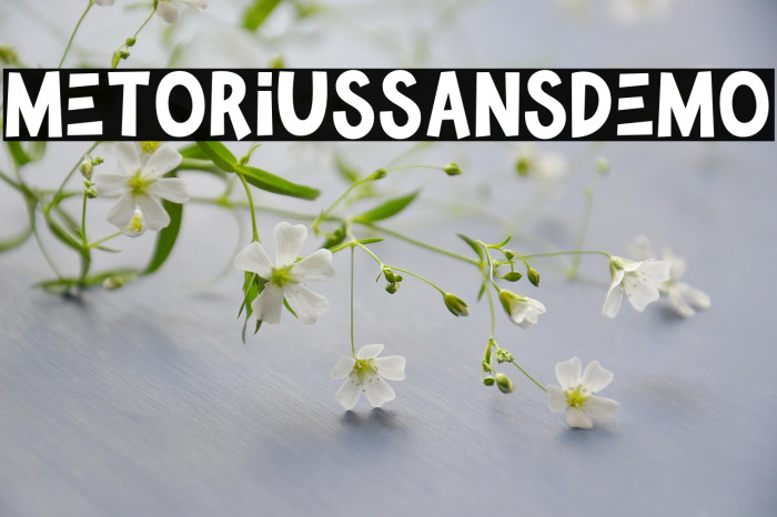 MetoriusSansDemo Example 2