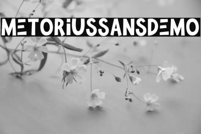 MetoriusSansDemo Font examples