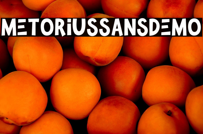 MetoriusSansDemo Example 3