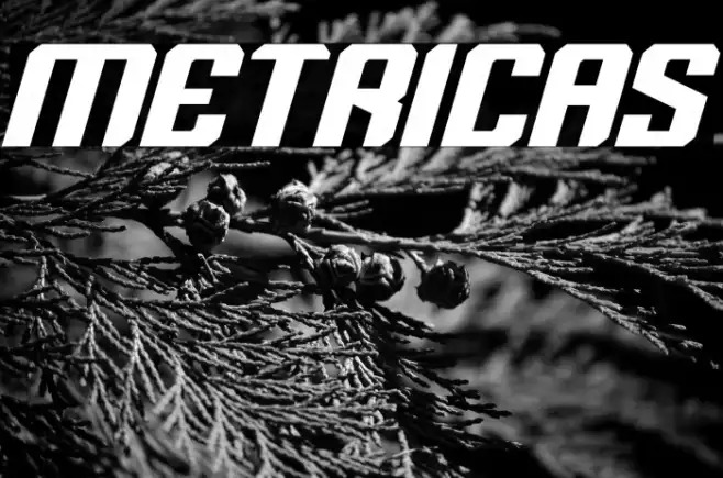 Metricas Example 3