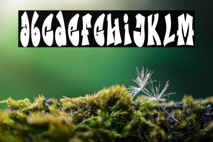 Metro Graffi Example 2