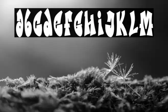 Metro Graffi خط examples