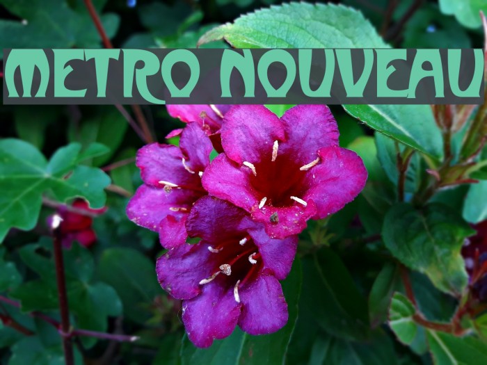 Metro Nouveau Font examples