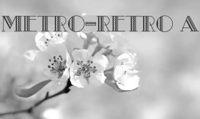 Metro-Retro A Example 2
