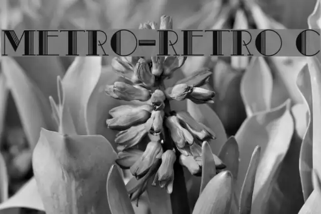 Metro-Retro C Example 3