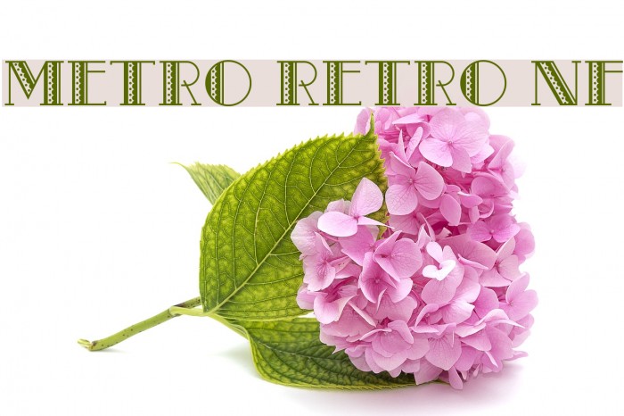 Metro Retro NF フォント examples
