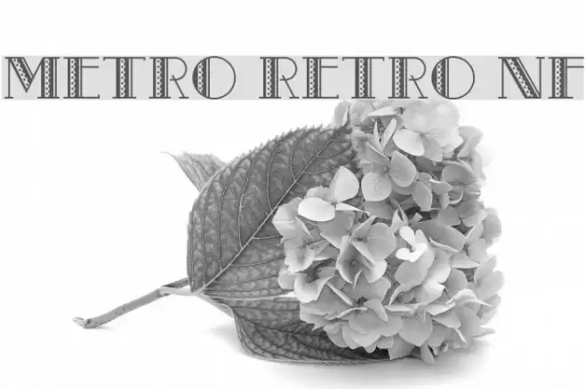 Metro Retro NF フォント examples