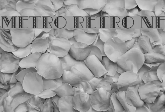 Metro Retro NF フォント examples