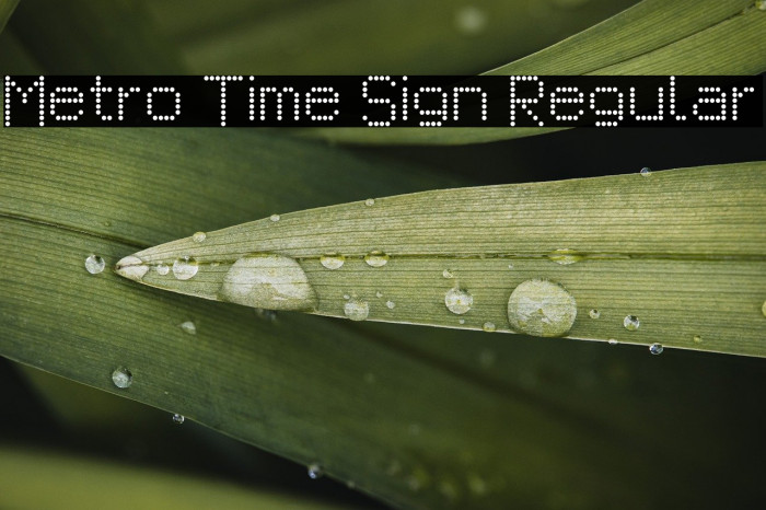 Metro Time Sign Regular Example 2