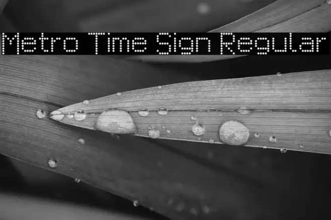 Metro Time Sign Regular Example 2