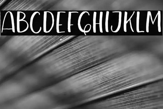 MetroCapitalsDEMO Font examples