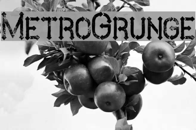 MetroGrunge Font examples