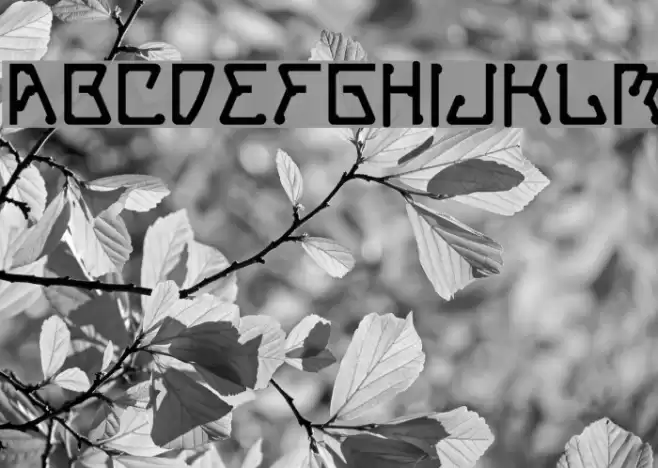 MetroPass Font examples