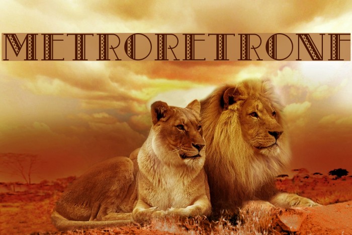 MetroRetroNF Example 2