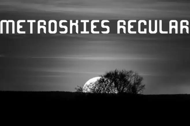 MetroSkies-Regular Example 3