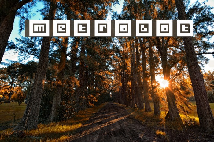 Metrobot Font examples