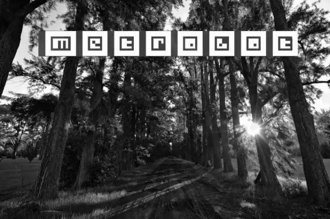 Metrobot Шрифта examples