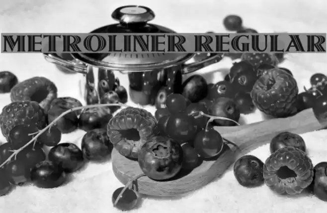 Metroliner Regular خط examples
