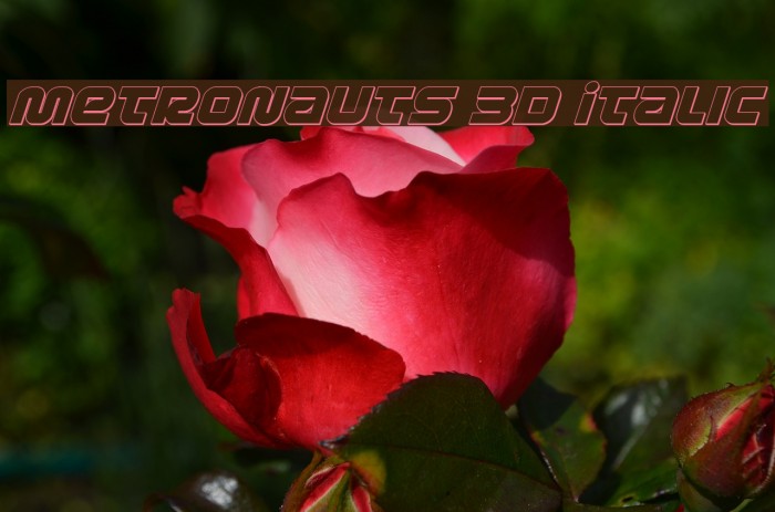 Metronauts 3D Italic Font examples