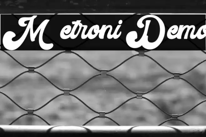 Metroni Demo Fonte examples