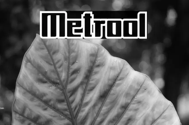 Metrool Font examples