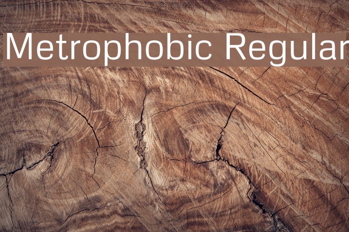 Metrophobic Regular Font examples
