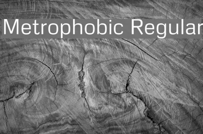 Metrophobic Regular Example 1