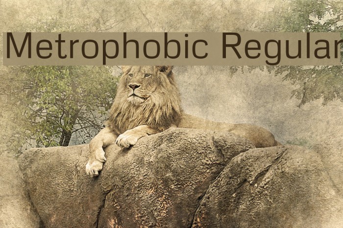 Metrophobic Regular Font examples