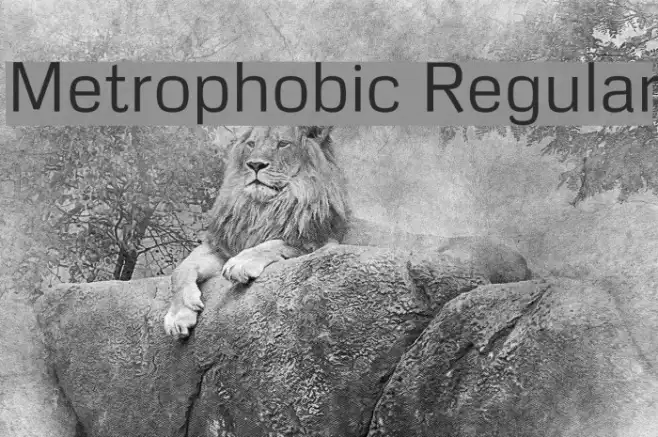 Metrophobic Regular Example 2