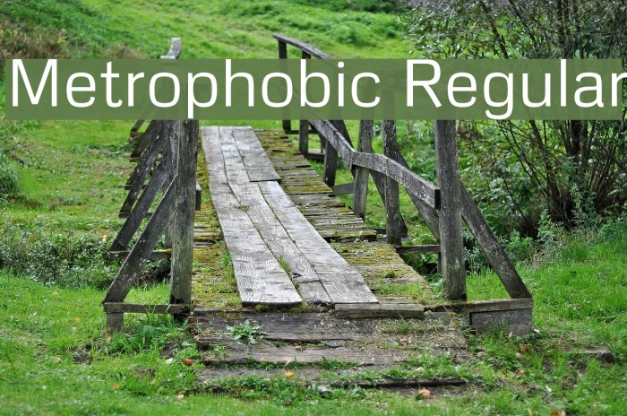 Metrophobic Regular Font examples