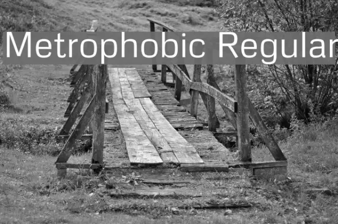 Metrophobic Regular Example 3
