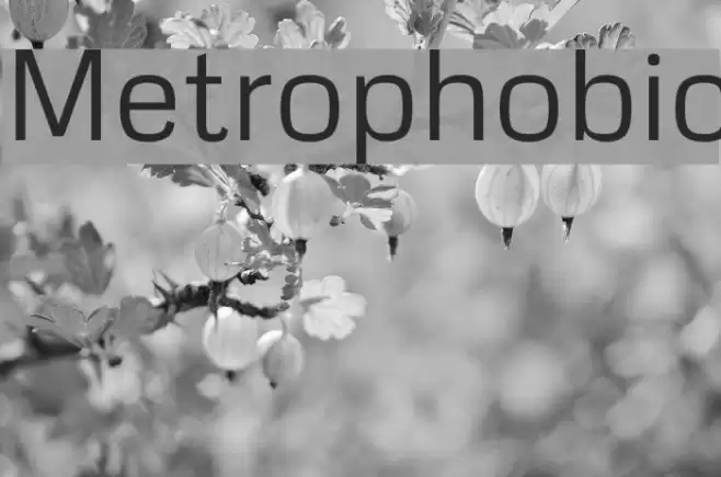 Metrophobic Font examples