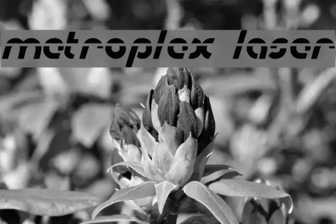 Metroplex Laser Polices examples