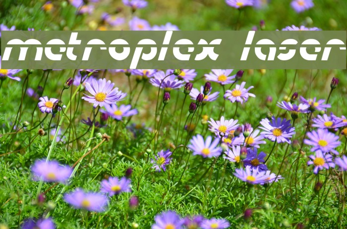 Metroplex Laser Polices examples