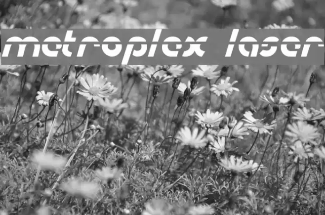 Metroplex Laser Polices examples