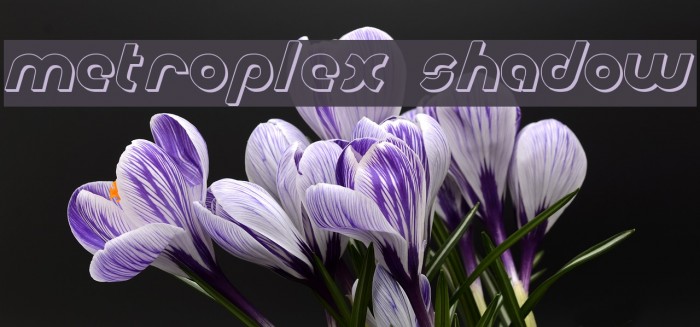 Metroplex Shadow Font examples