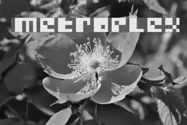 Metroplex Font examples