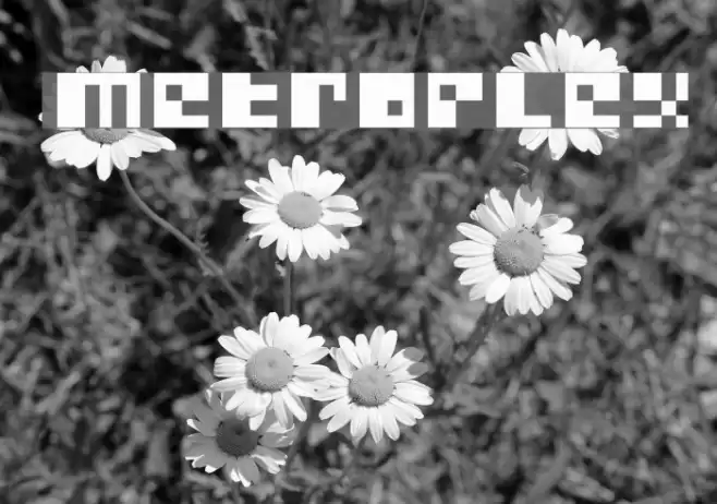 Metroplex Font examples