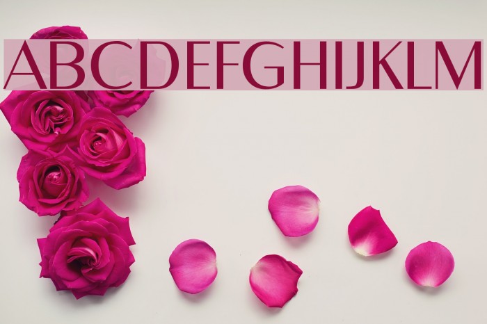 Metropol 95 Font examples