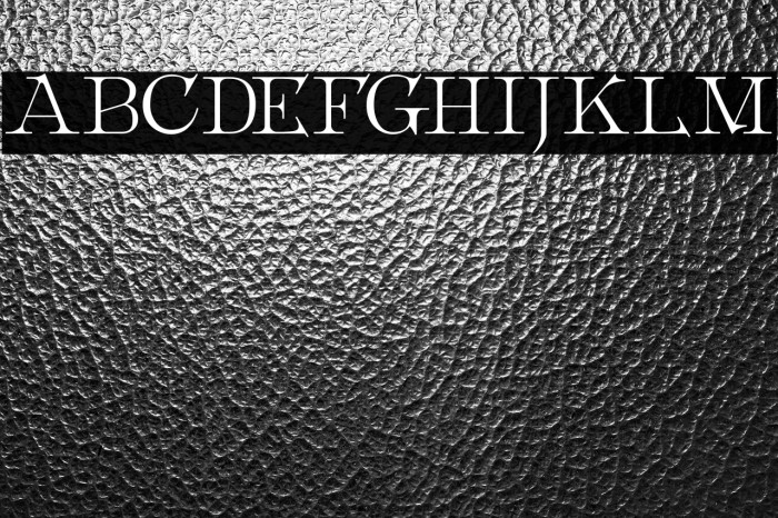 Metropolian Example 1