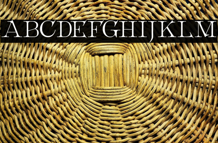 Metropolian Example 2