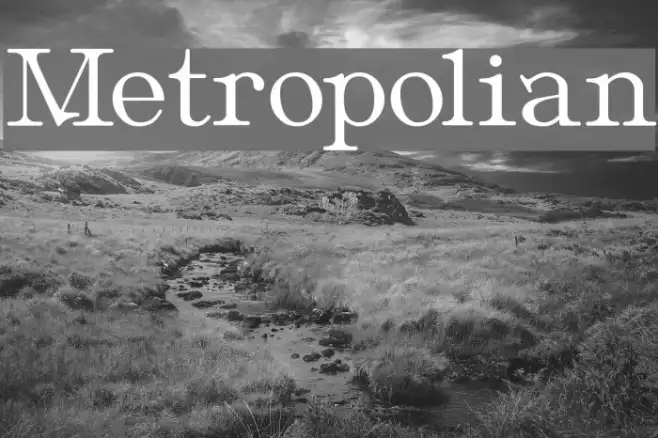 Metropolian Example 2
