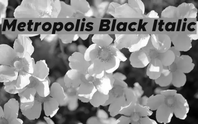Metropolis Black Italic Font examples