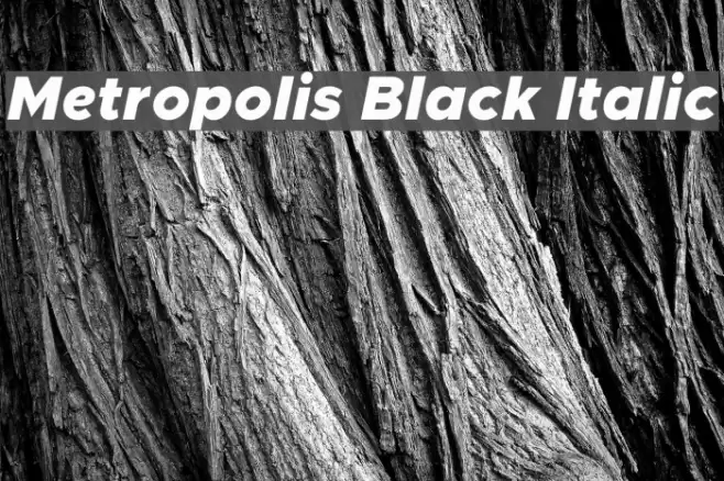 Metropolis Black Italic Font examples