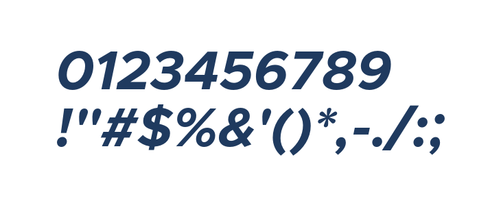 Metropolis Bold Italic Other Characters